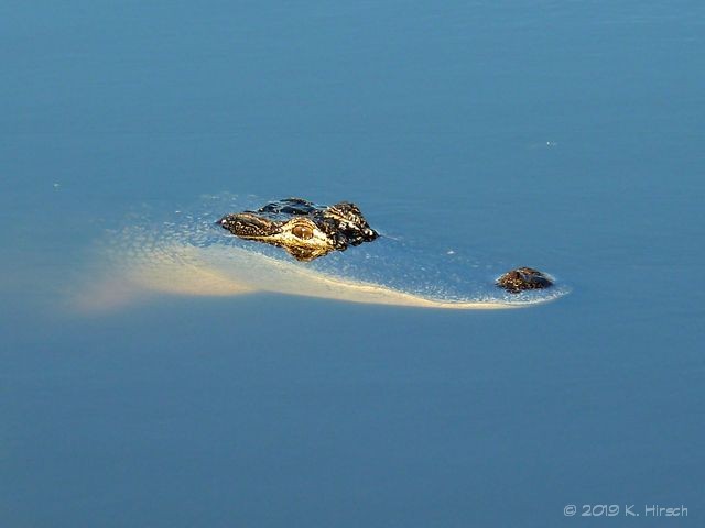 Looking for me? - 5/26/15